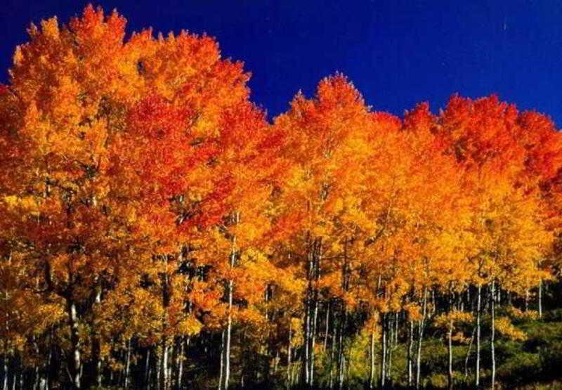 Hotel Fairfield And By Marriott Colorado Springs North Air Force Academy 3*